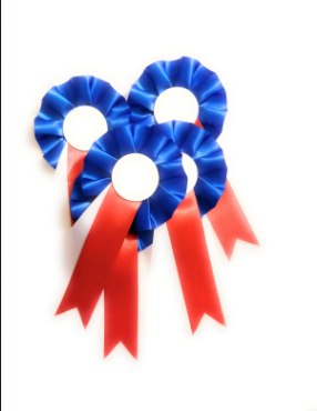 10 X Red, White and Blue Rosettes