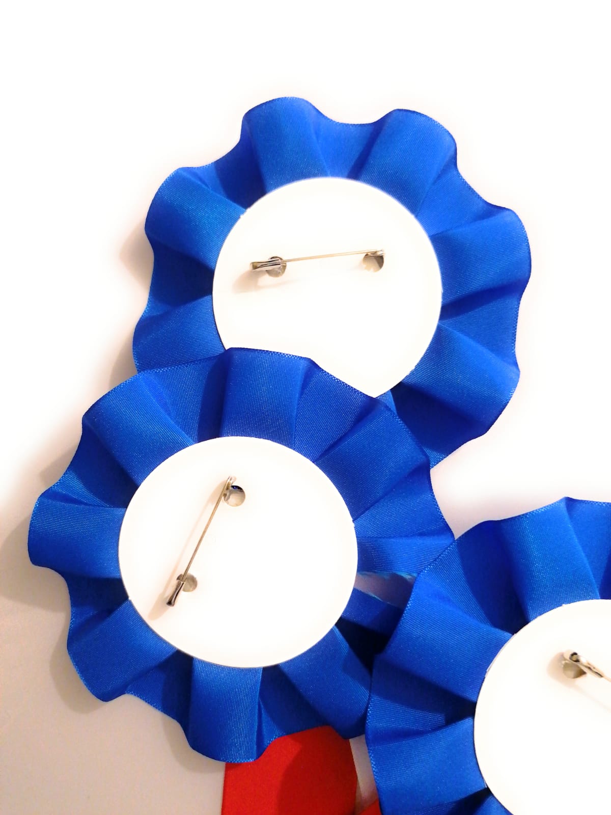 10 X Blue and White Rosettes