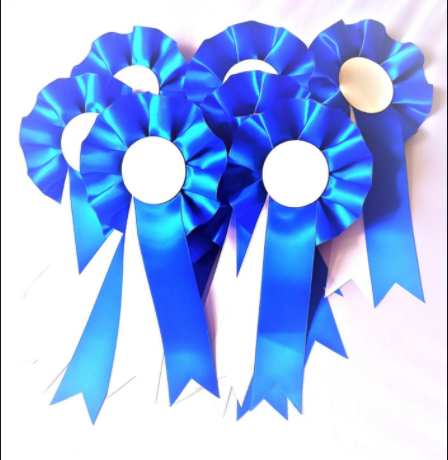 10 X Blue and White Rosettes