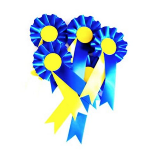 10 X Blue and Yellow Rosettes Ukraine colours